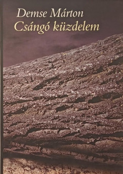 Demse M�rton - Cs�ng� k�zdelem
