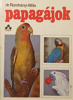 Dr. Romhnyi Attila - Papagjok