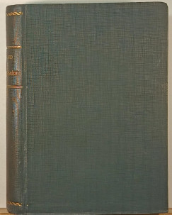 H. Rider Haggard - A gyöngyhajadon