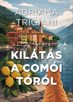 Kilátás a Comói tóról