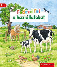 Bea Zorell - Fedezd fel a hzillatokat