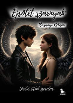 Barányi Rebeka - Éjsötét szárnyak