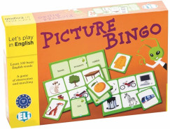 Picture Bingo English