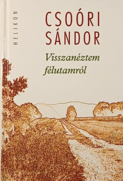 Csoóri Sándor - Visszanéztem félutamról