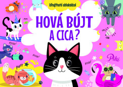 Hová bújt a cica?