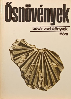 Dr. Hably Lilla - snvnyek