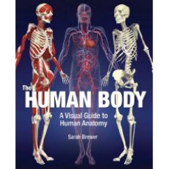 Sarah Brewer - The Human Body