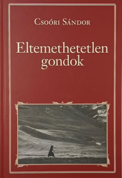 Csori Sndor - Eltemethetetlen gondok