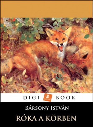 B�rsony Istv�n - R�ka a k�rben