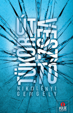 Nikolényi Gergely - Tükörútvesztő