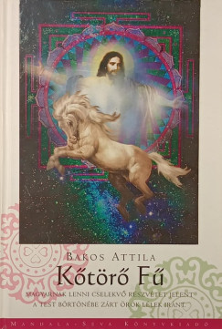 Bakos Attila - Kőtörő fű