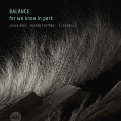 �v�d J�nos - Benk� �kos - Fenyvesi M�rton - Balance for we known in part CD