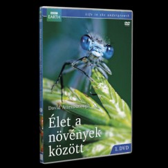 David Attenborough - let a nvnyek kztt 1. - DVD
