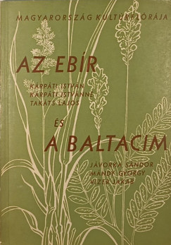 Jvorka Sndor - Krpti Istvnn - Krpti Istvn - Dr. Mndy Gyrgy - Takts Lajos - Vizer Jakab - Az ebr - A baltacim