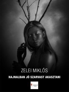 Zelei Mikl�s - Hajnalban j� szarvast akasztani