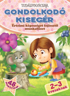 Gondolkod� kiseg�r