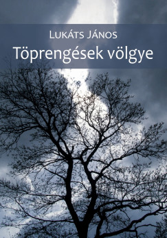 Lukáts János - Töprengések völgye