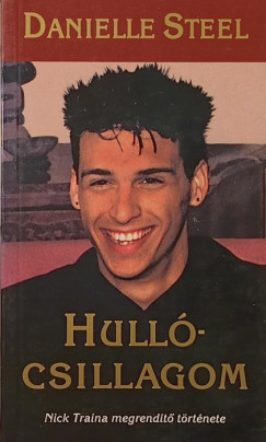 Danielle Steel - Hullcsillagom