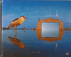 Mt Bence - The invisible wildlife photographer