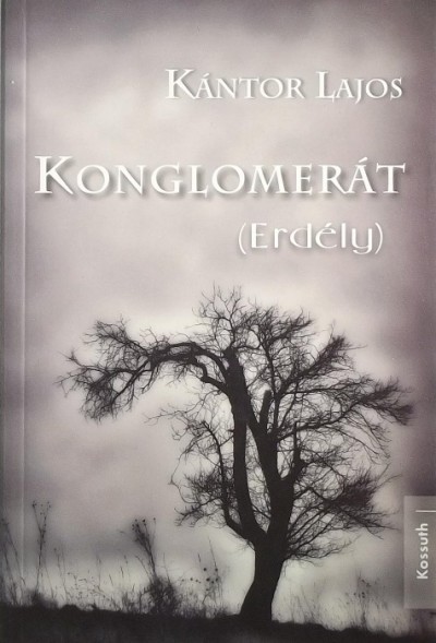 Kántor Lajos - Konglomerát