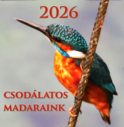 Telegdi Ágnes - Csodálatos Madaraink 2026. naptár - 19x19 cm