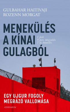 Gulbahar Haitivaji - Rozenn Morgat - Menekls a knai Gulagbl