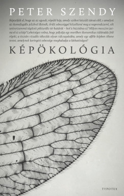Peter Szendy - Képökológia