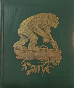 The great apes