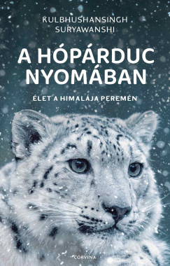 Kulbhushansingh Suryawanshi - A h�p�rduc nyom�ban - �let a Himal�ja perem�n