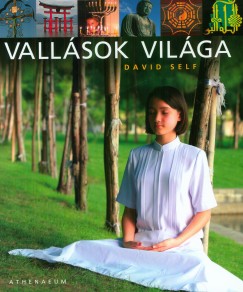 David Self - Vallsok vilga