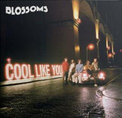 Blossoms - Cool Like You - CD