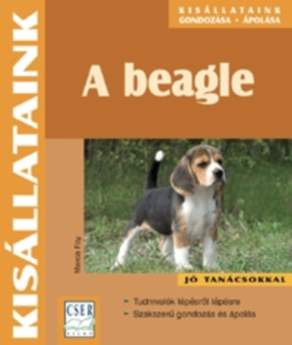 Marcia Foy - A beagle