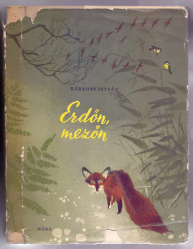 B�rsony Istv�n - Erd�n, mez�n - Vad�szt�rt�netek