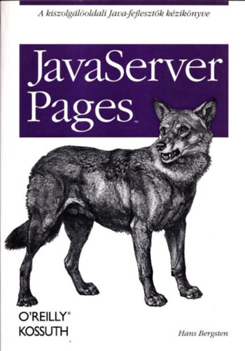 Hans Bergsten - JavaServer Pages