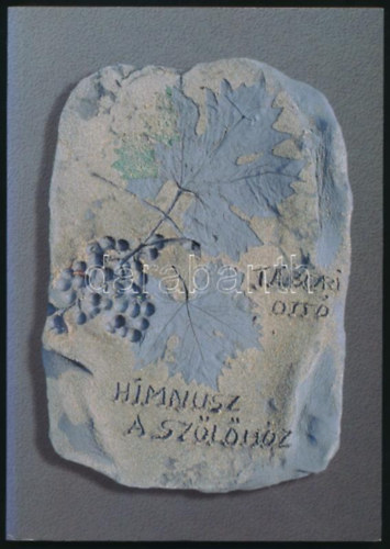 Himnusz a szőlőhöz