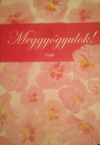 T�th Ic� - Meggy�gyulok! - Napl�