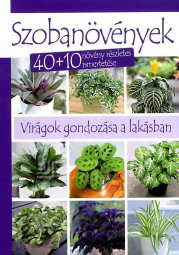Dobos �va Per�nyi J�zsef - Szoban�v�nyek - 40+10 n�v�ny r�szletes ismertet�se