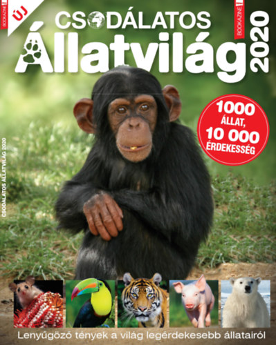 Fles Bookazine: Csodlatos llatvilg 2020