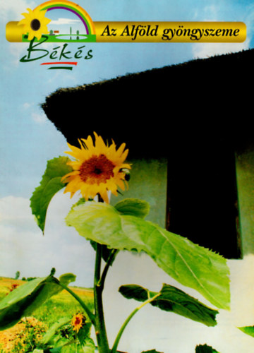 Várkonyi Judit (szerk.) - Békés - Az Alföld gyöngyszeme