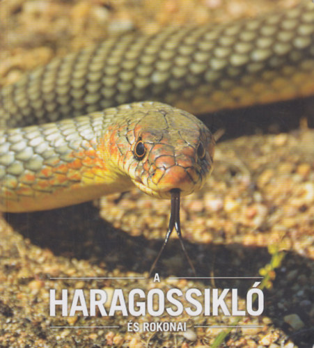 Korss Zoltn Babocsay Gergely - A haragossikl s rokonai