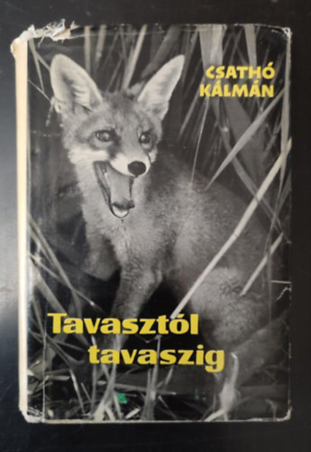 Pintr Jzsef  Csath Klmn (szerk.) - Tavasztl tavaszig - Egy r vadszemlkei (Egyedi termkfot)