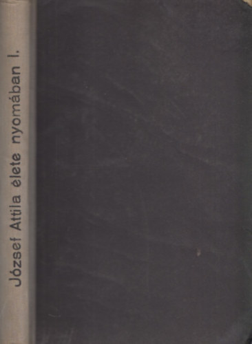 Galamb Ödön - Makói évek (József Attila élete nyomában I.)