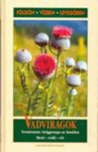 Maria Teresa della Beffa - F�ld�n-V�zben-Leveg�ben: Vadvir�gok(Term�szetes vir�gpompa az �tsz�len)