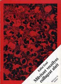 K�llai ERn� - M�v�szet vesz�lyes csillagzat alatt  V�logatott cikkek, tanulm�nyok