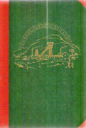 Hans Richter - Erzschlacht - Ein Roman unter Lappen und Goldsuchern