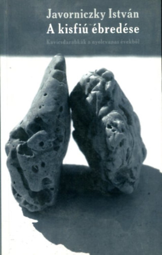 Javorniczky István - A kisfiú ébredése