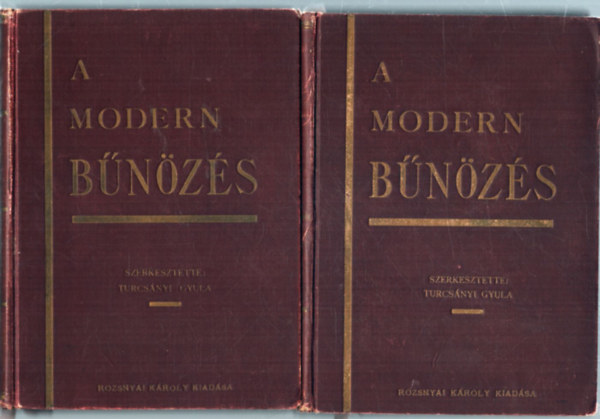 Vry Albert-Turcsnyi Gyula - A modern bnzs I-II.