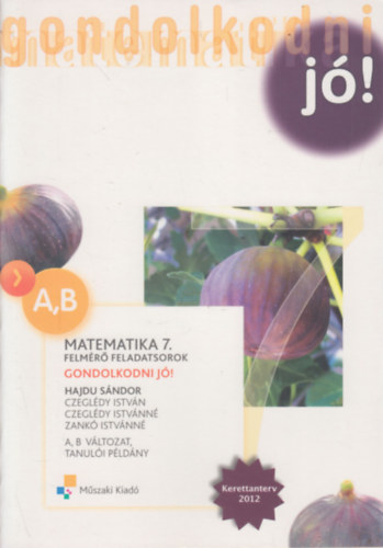 Hajdu; Zank; Dr. Czegldy Istvn - Matematika 7. - Felmr feladatsorok - A, B vltozat, tanuli pldny