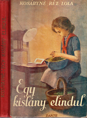 Kosáryné Réz Lola - Egy kislány elindul (Biczó András rajzaival)