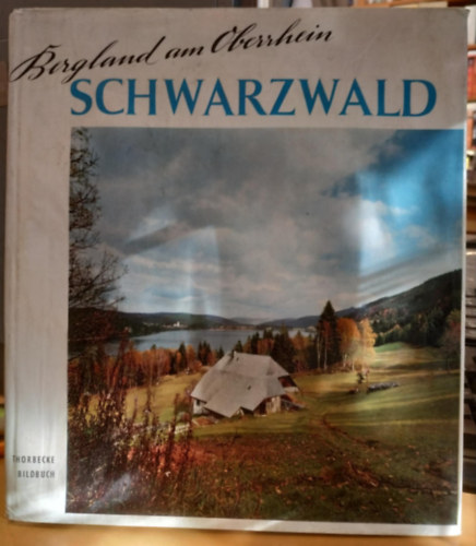 Ekkehard Liehl, Robert Feger - Bergland am Oberrhein Schwarzwald (Jan Thorbecke Verlag)